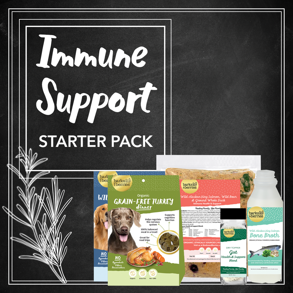 Immune Support Starter Pack