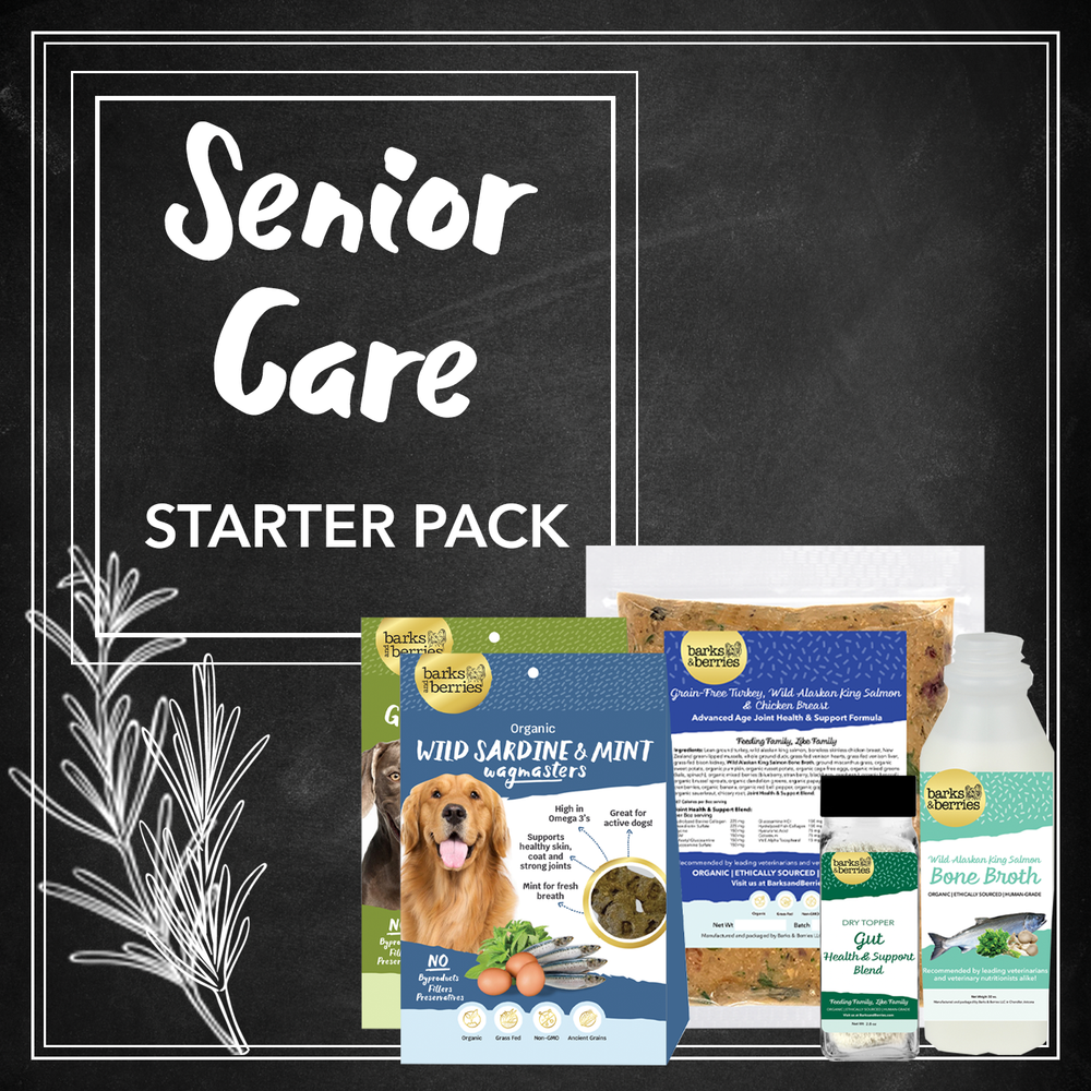 Senior Care Starter Pack